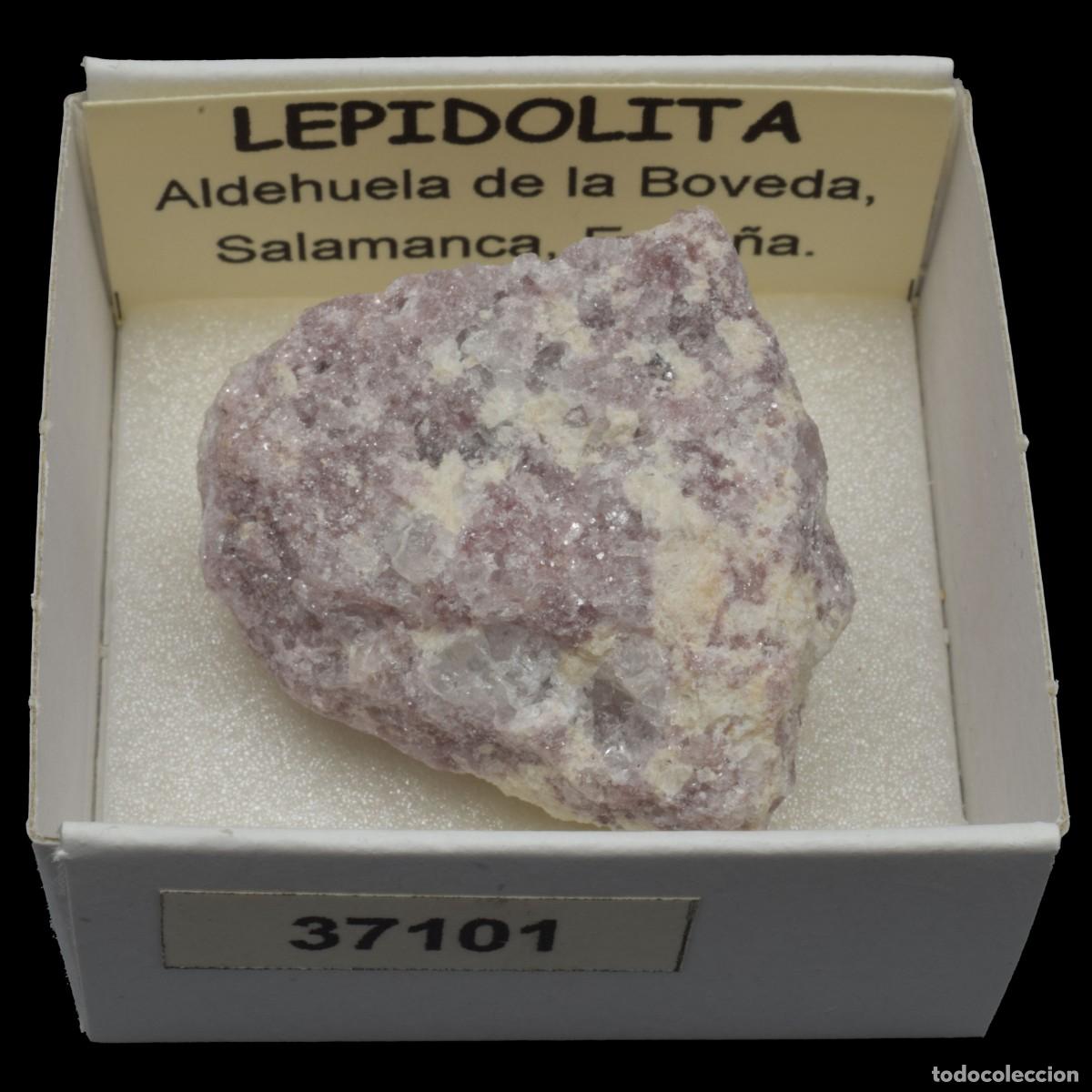 Coleccionismo de minerales: LEPIDOLITA (Aldehuela de la Boveda, Salamanca, Espa&ntilde;a) #37101