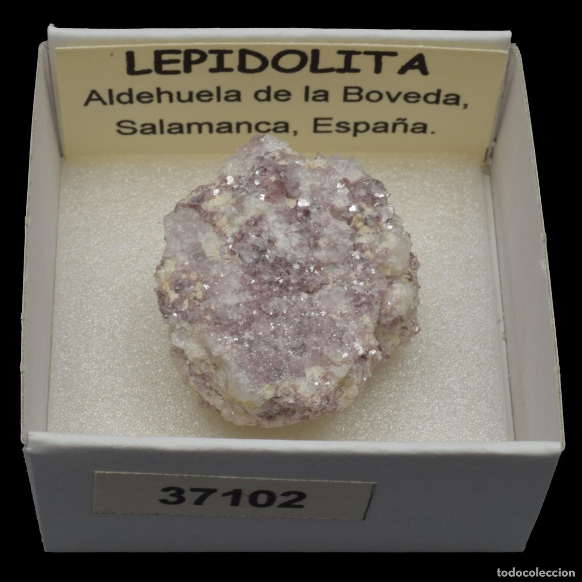 Coleccionismo de minerales: LEPIDOLITA (Aldehuela de la Boveda, Salamanca, Espa&ntilde;a) #37102