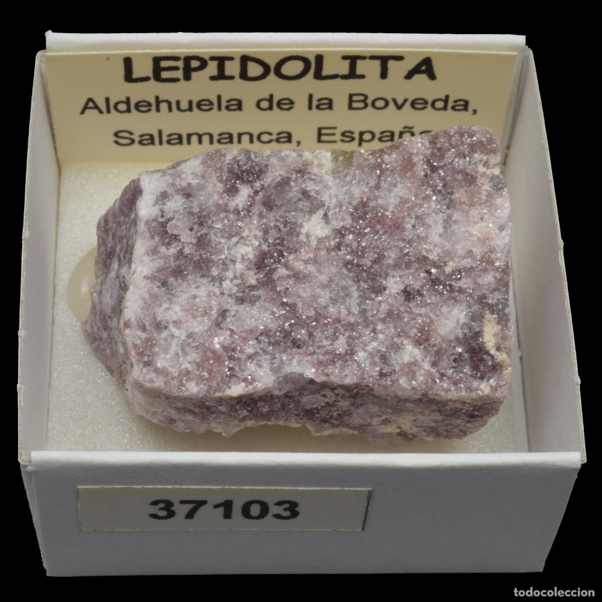 Collectionnisme de min&eacute;raux: LEPIDOLITA (Aldehuela de la Boveda, Salamanca, Espa&ntilde;a) #37103