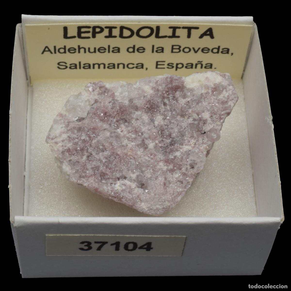 Collectionnisme de min&eacute;raux: LEPIDOLITA (Aldehuela de la Boveda, Salamanca, Espa&ntilde;a) #37104
