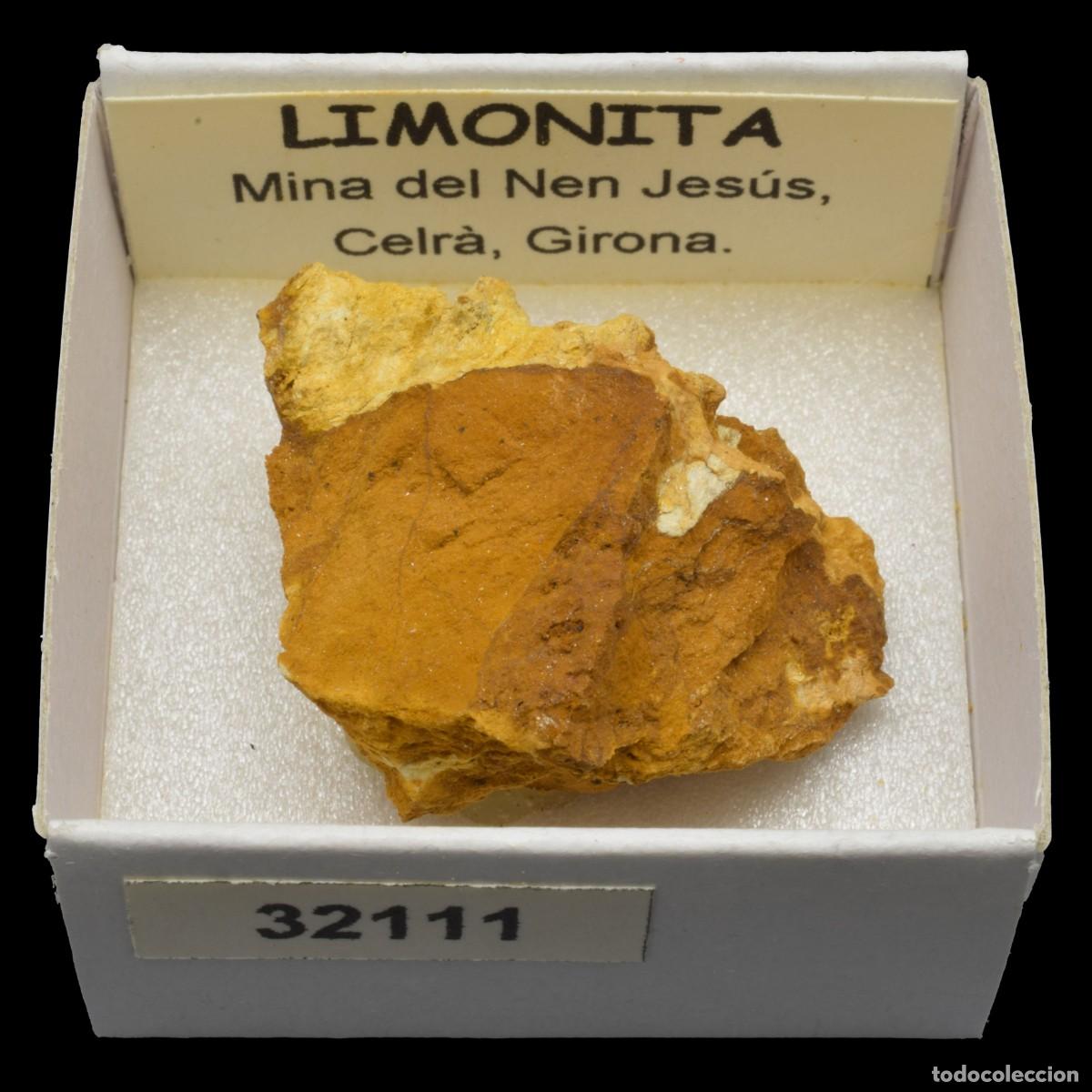 Coleccionismo de minerales: LIMONITA (Mina del Nen Jesus, Celra, Girona, Espa&ntilde;a) #32111