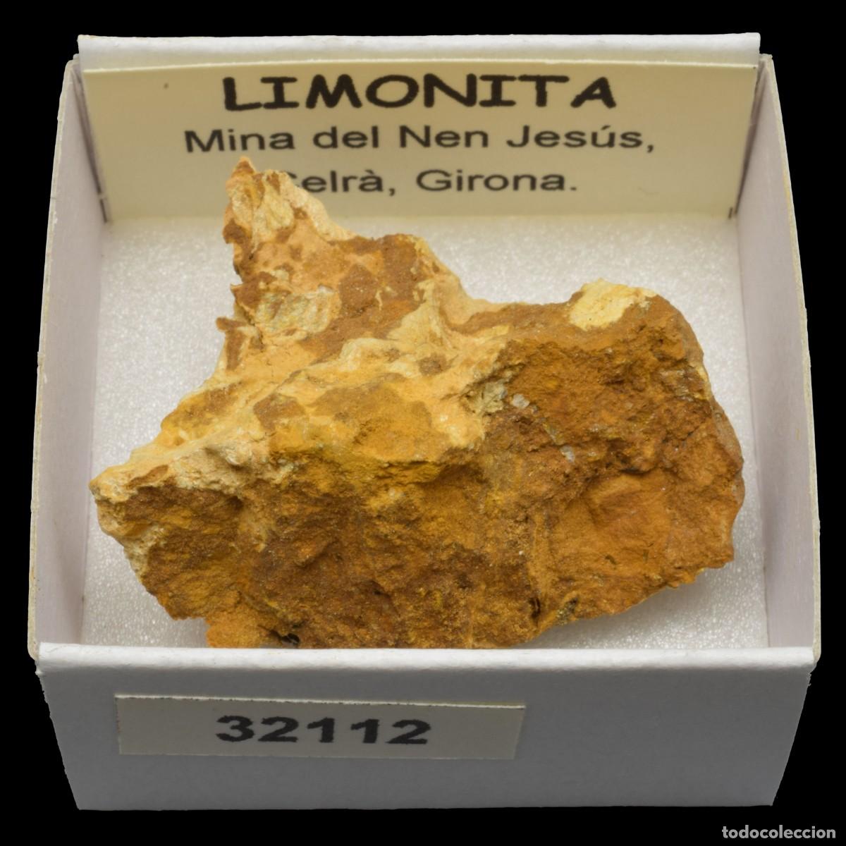 Collectionnisme de min&eacute;raux: LIMONITA (Mina del Nen Jesus, Celra, Girona, Espa&ntilde;a) #32112