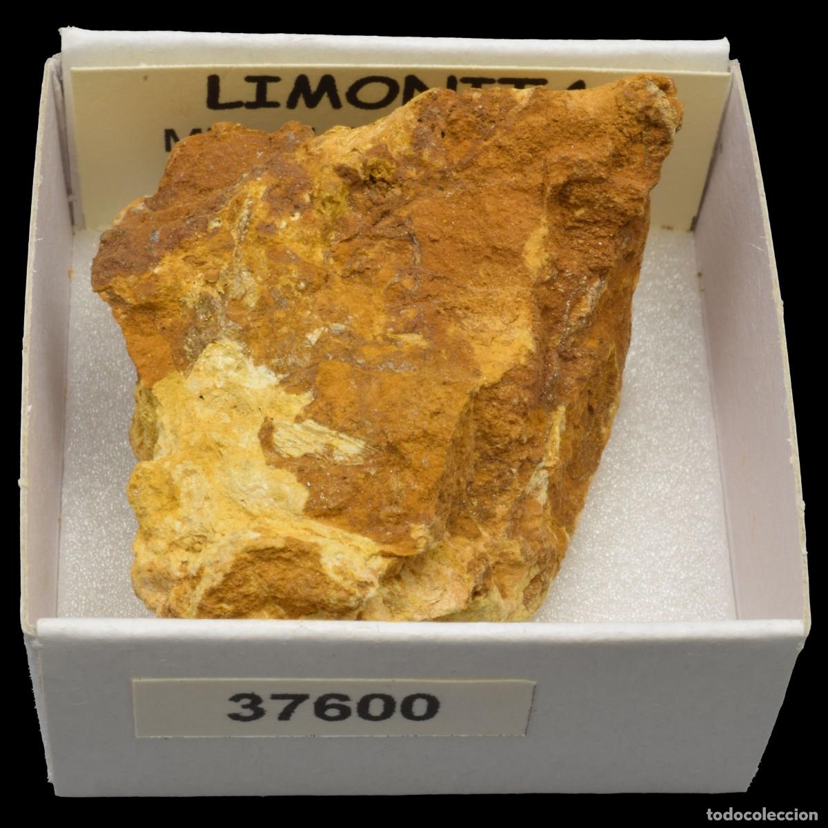 Collectionnisme de min&eacute;raux: LIMONITA (Mina del Nen Jesus, Celra, Girona, Espa&ntilde;a) #37600