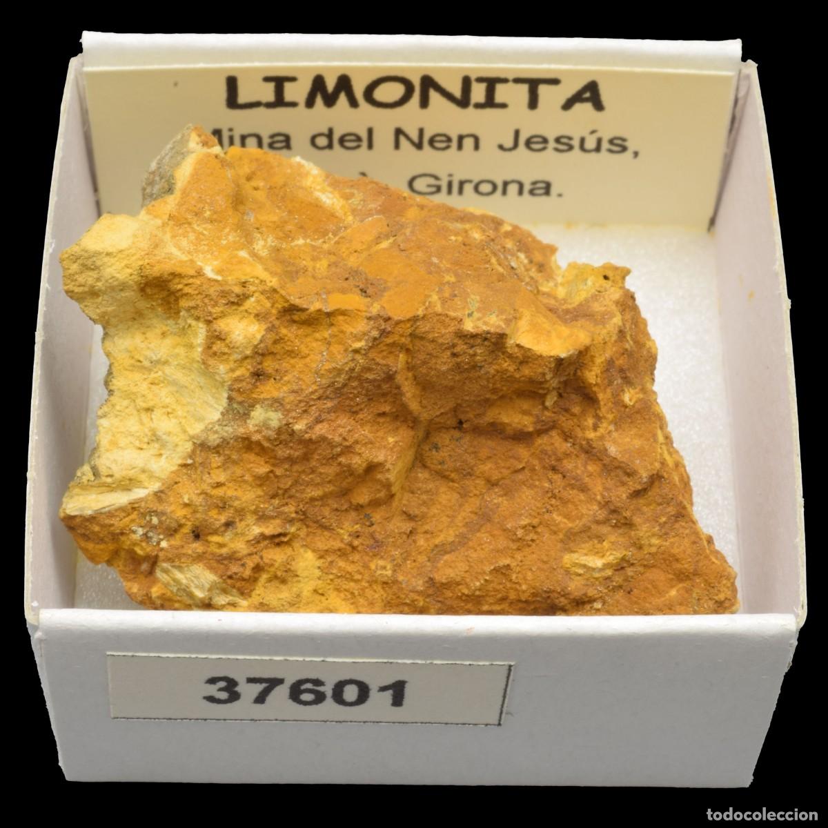 Collectionnisme de min&eacute;raux: LIMONITA (Mina del Nen Jesus, Celra, Girona, Espa&ntilde;a) #37601