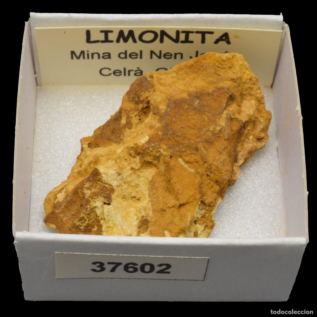 Collectionnisme de min&eacute;raux: LIMONITA (Mina del Nen Jesus, Celra, Girona, Espa&ntilde;a) #37602