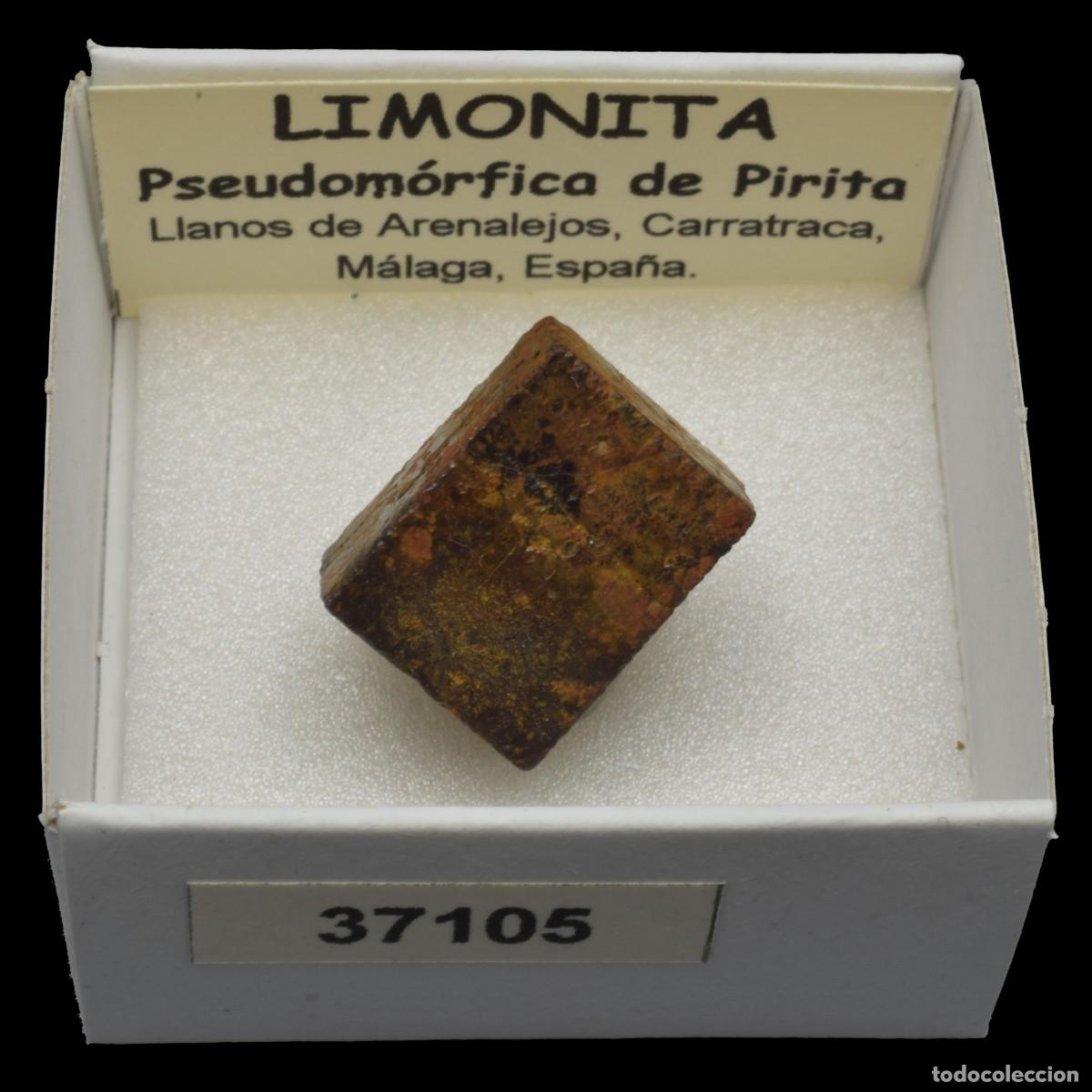 Collectionnisme de min&eacute;raux: LIMONITA pseudomorfica de pirita (Llanos de Arenalejos, Carratraca, Malaga, Espa&ntilde;a) #37105