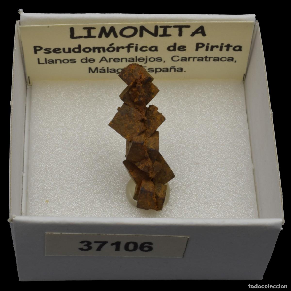 Sammlung von Mineralien: LIMONITA pseudomorfica de pirita (Llanos de Arenalejos, Carratraca, Malaga, Espa&ntilde;a) #37106