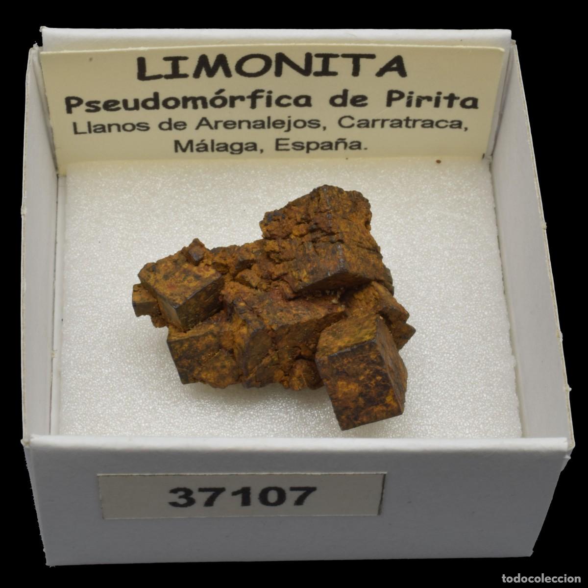 Sammlung von Mineralien: LIMONITA pseudomorfica de pirita (Llanos de Arenalejos, Carratraca, Malaga, Espa&ntilde;a) #37107