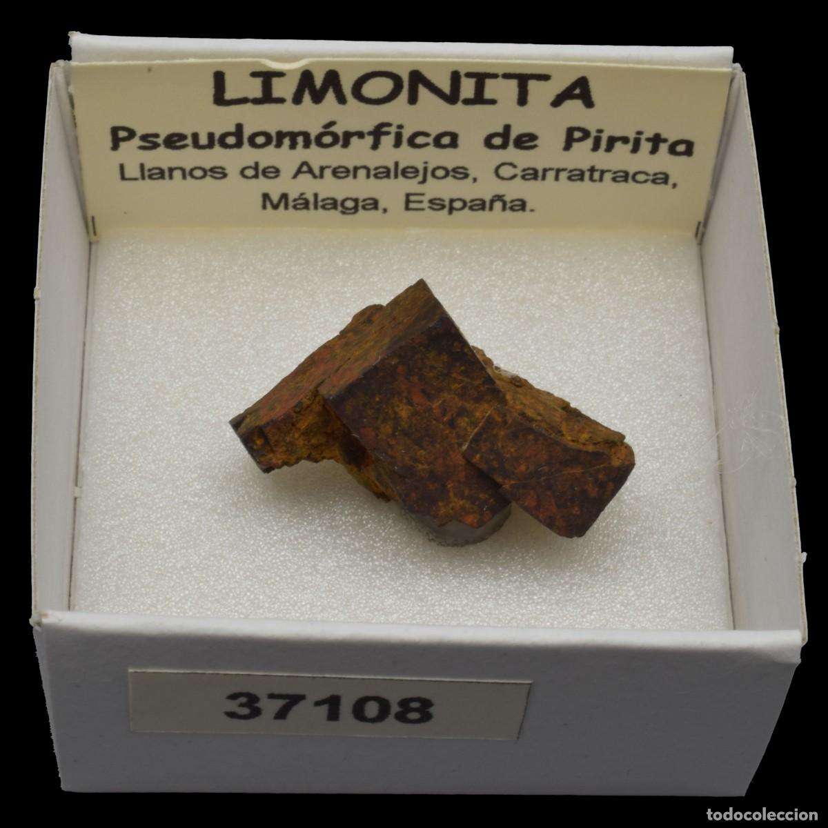 Sammlung von Mineralien: LIMONITA pseudomorfica de pirita (Llanos de Arenalejos, Carratraca, Malaga, Espa&ntilde;a) #37108