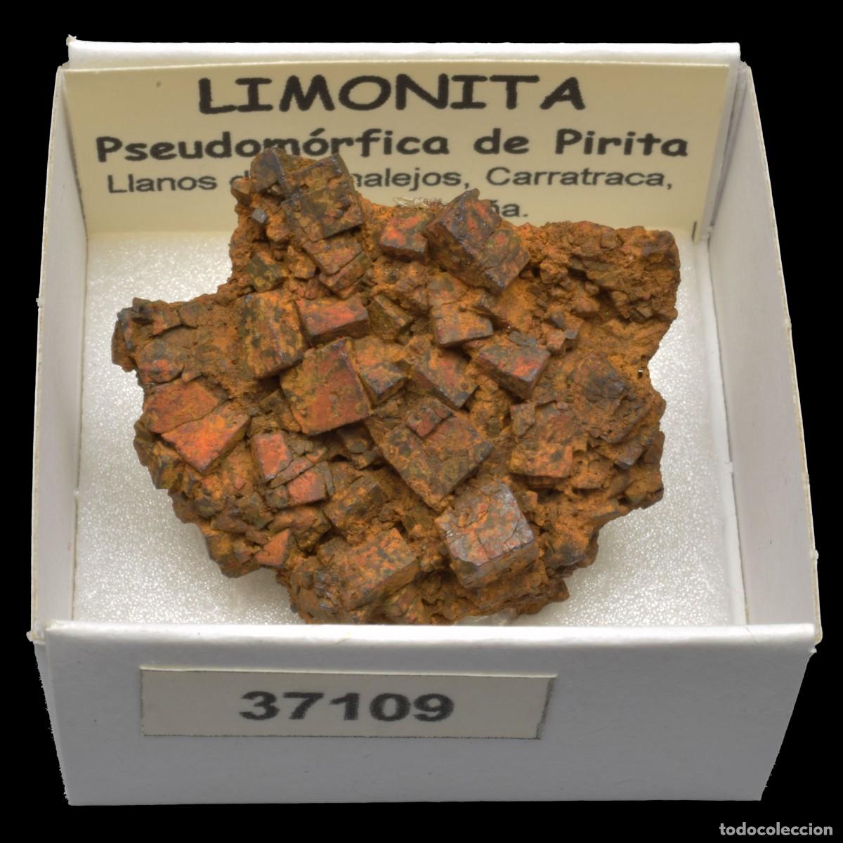 Sammlung von Mineralien: LIMONITA pseudomorfica de pirita (Llanos de Arenalejos, Carratraca, Malaga, Espa&ntilde;a) #37109