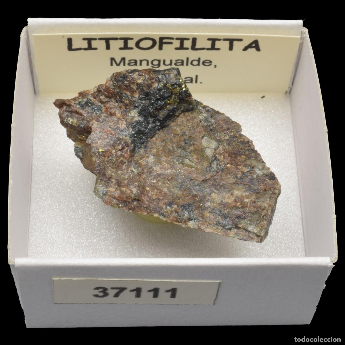 Mineral collecting: LITIOFILITA (Mangualde, Portugal) #37111