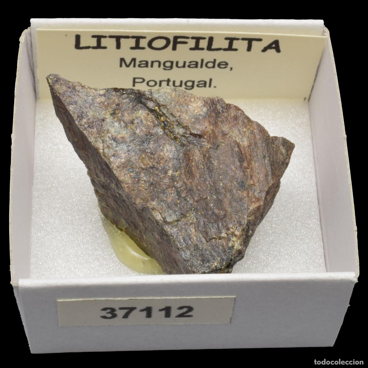 Mineral collecting: LITIOFILITA (Mangualde, Portugal) #37112