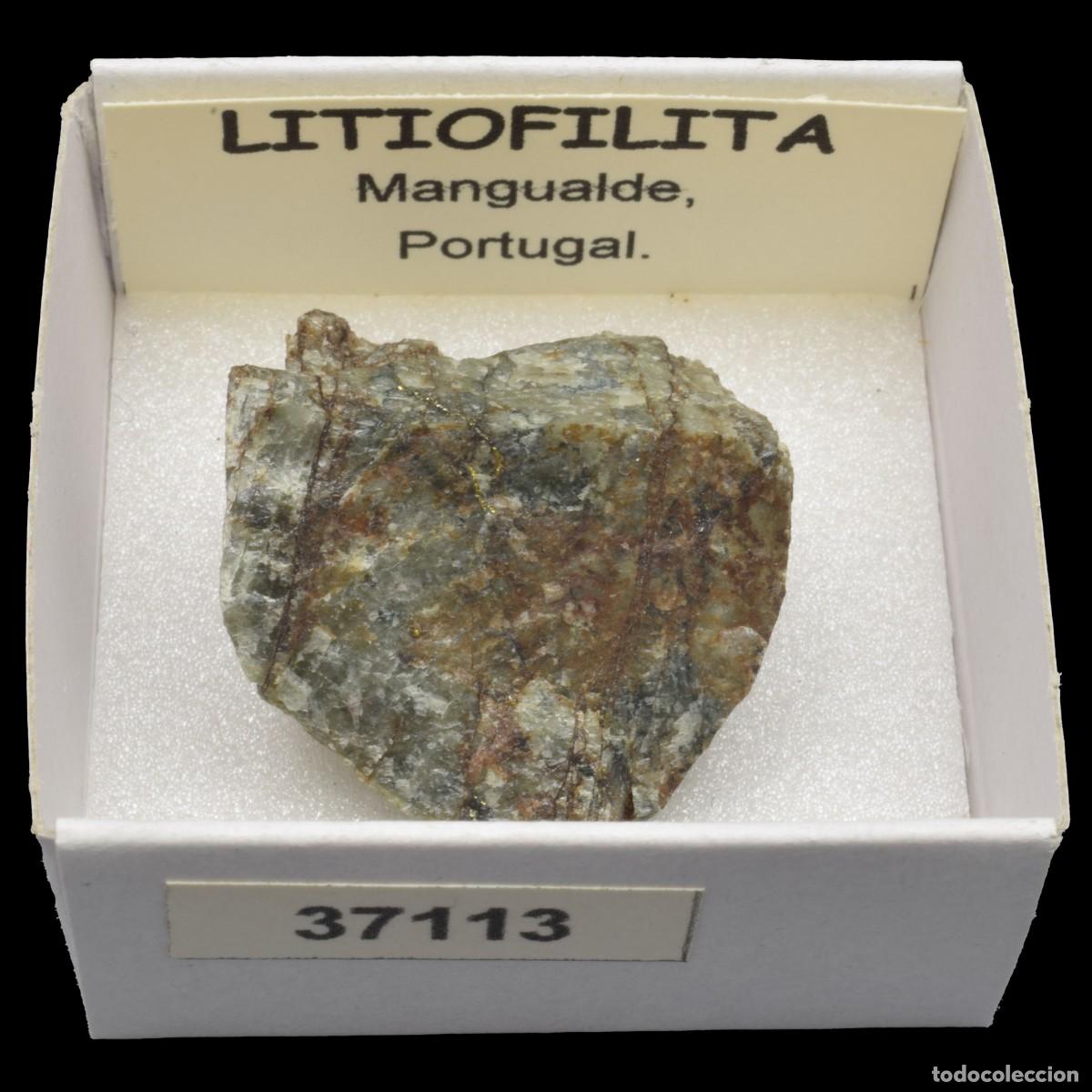 Coleccionismo de minerales: LITIOFILITA (Mangualde, Portugal) #37113