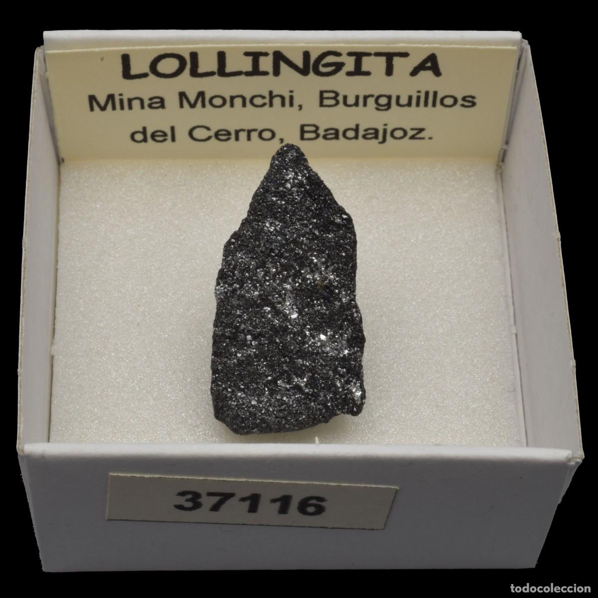 Coleccionismo de minerales: LOLLINGITA (Mina Monchi, Burguillos del Cerro, Badajoz, Espa&ntilde;a) #37116