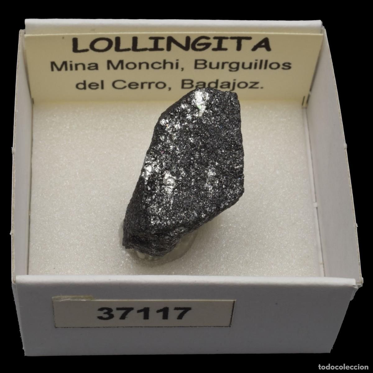 Coleccionismo de minerales: LOLLINGITA (Mina Monchi, Burguillos del Cerro, Badajoz, Espa&ntilde;a) #37117