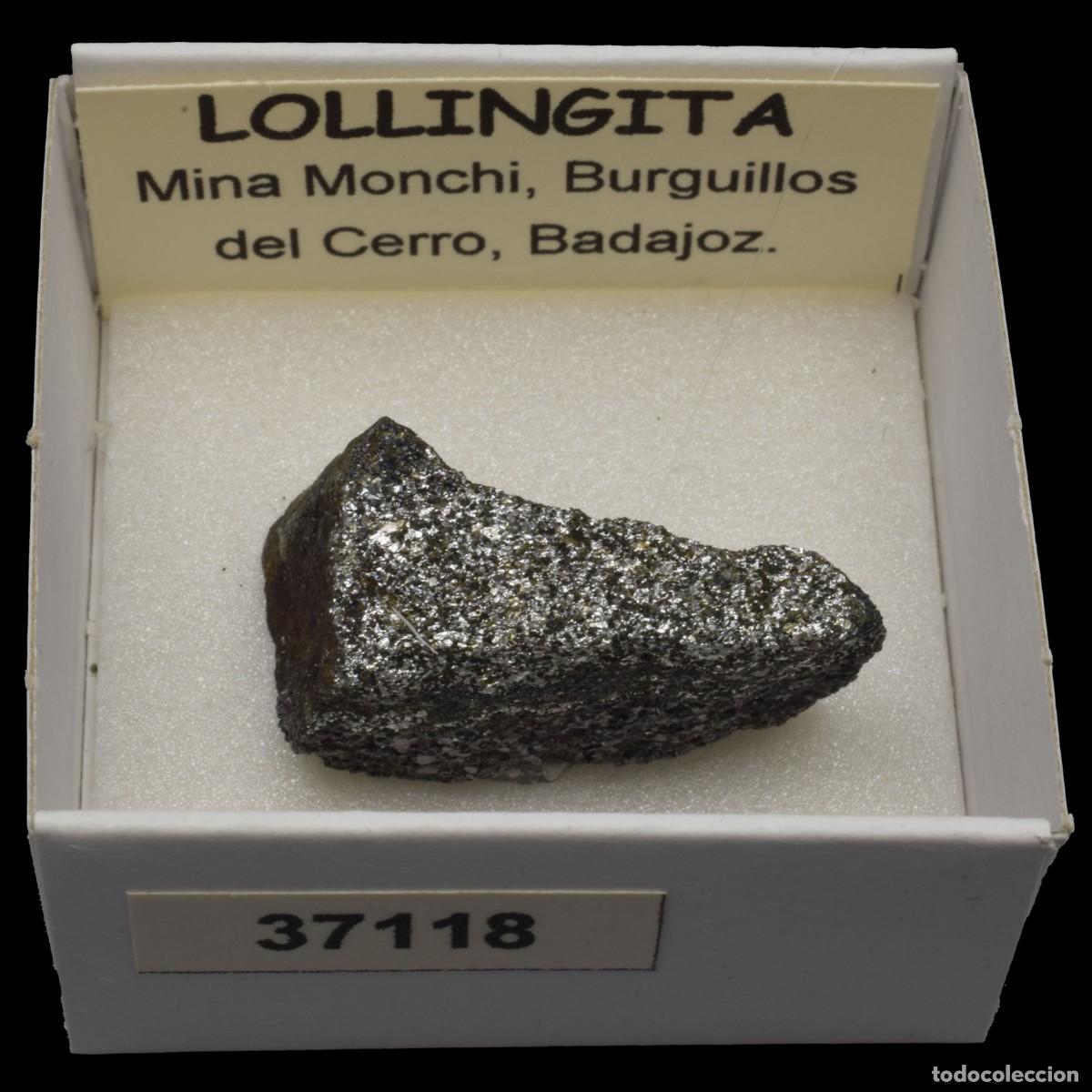 Coleccionismo de minerales: LOLLINGITA (Mina Monchi, Burguillos del Cerro, Badajoz, Espa&ntilde;a) #37118