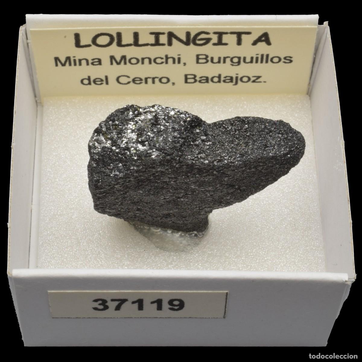 Coleccionismo de minerales: LOLLINGITA (Mina Monchi, Burguillos del Cerro, Badajoz, Espa&ntilde;a) #37119