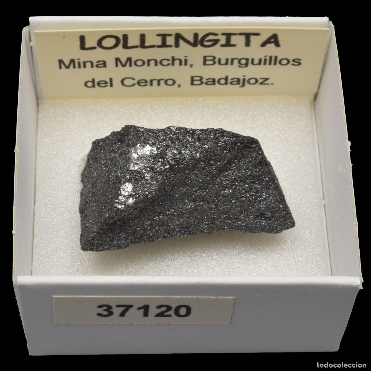 Coleccionismo de minerales: LOLLINGITA (Mina Monchi, Burguillos del Cerro, Badajoz, Espa&ntilde;a) #37120