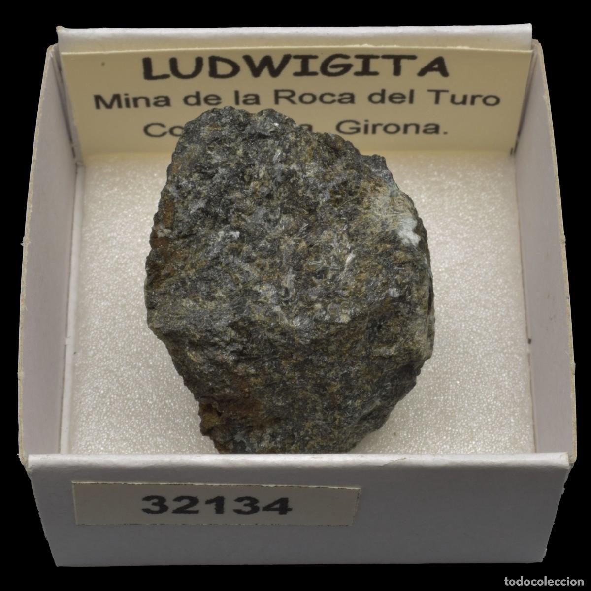 Collectionnisme de min&eacute;raux: LUDWIGITA (Mina de la Roca del Turo, Costabona, Girona, Espa&ntilde;a) #32134