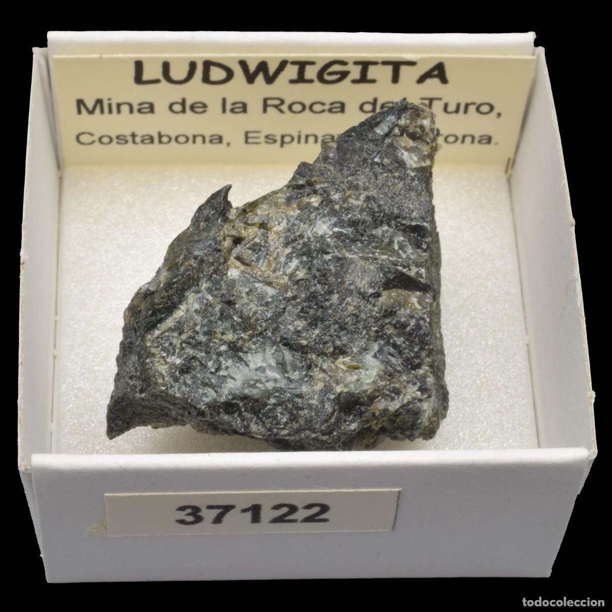 Collectionnisme de min&eacute;raux: LUDWIGITA (Mina de la Roca del Turo, Costabona, Girona, Espa&ntilde;a) #37122