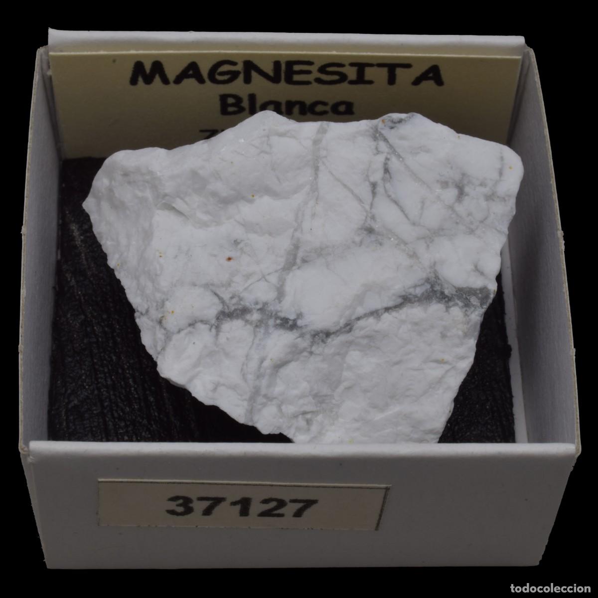Collectionnisme de min&eacute;raux: MAGNESITA Blanca (Zimbabwe) #37127