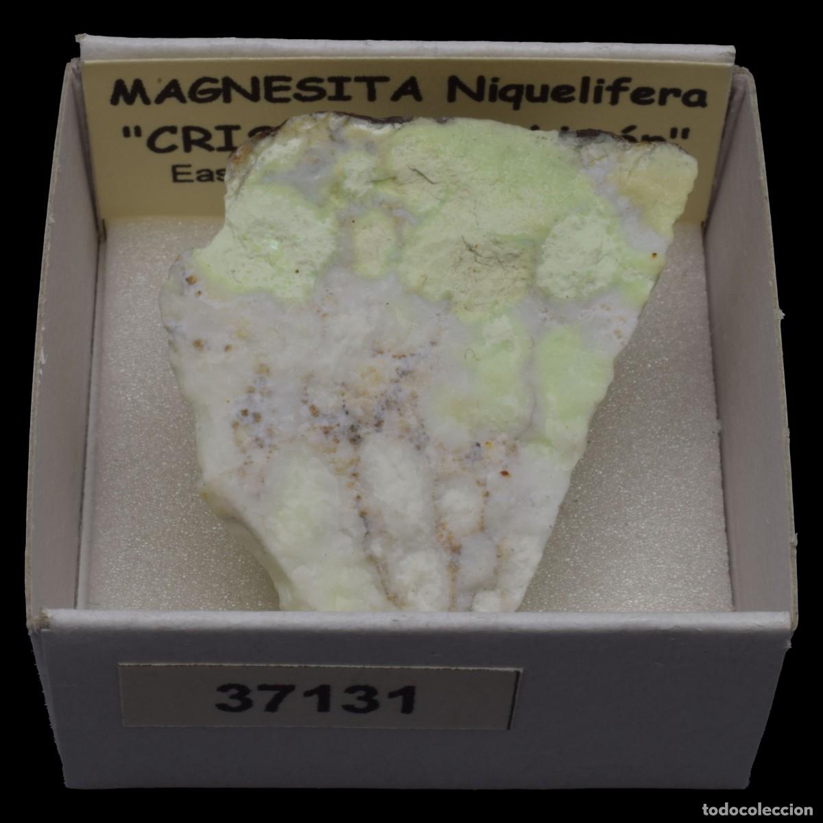 Collectionnisme de min&eacute;raux: MAGNESITA Niquelifera (Eastern Goldfields, Western Australia, Australia) #37131