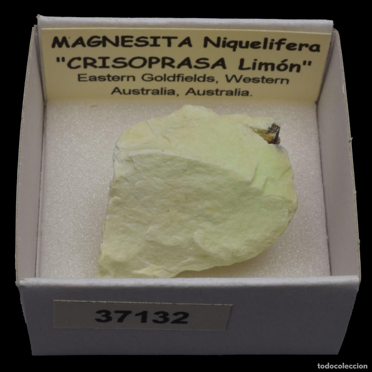 Collectionnisme de min&eacute;raux: MAGNESITA Niquelifera (Eastern Goldfields, Western Australia, Australia) #37132