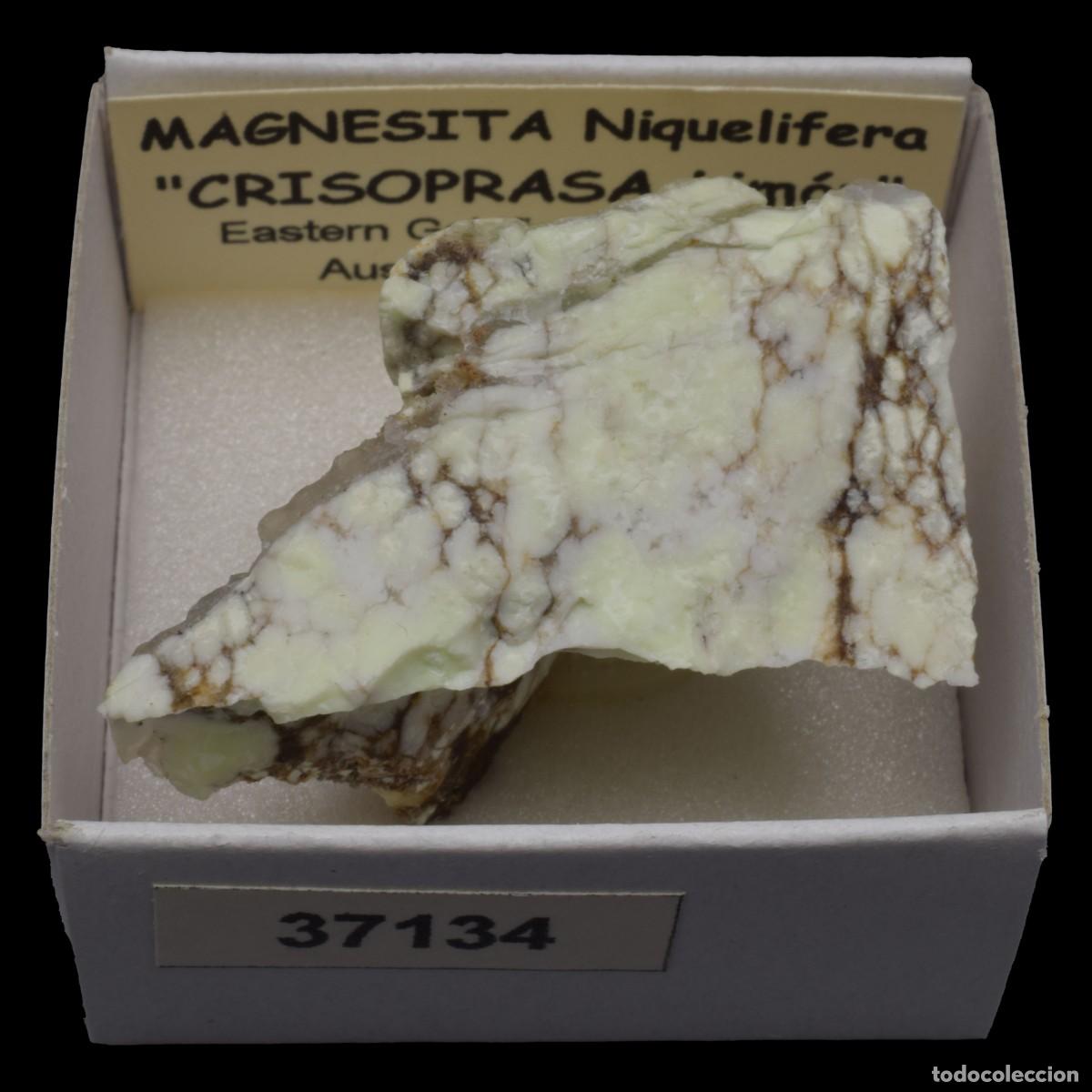 Collectionnisme de min&eacute;raux: MAGNESITA Niquelifera (Eastern Goldfields, Western Australia, Australia) #37134