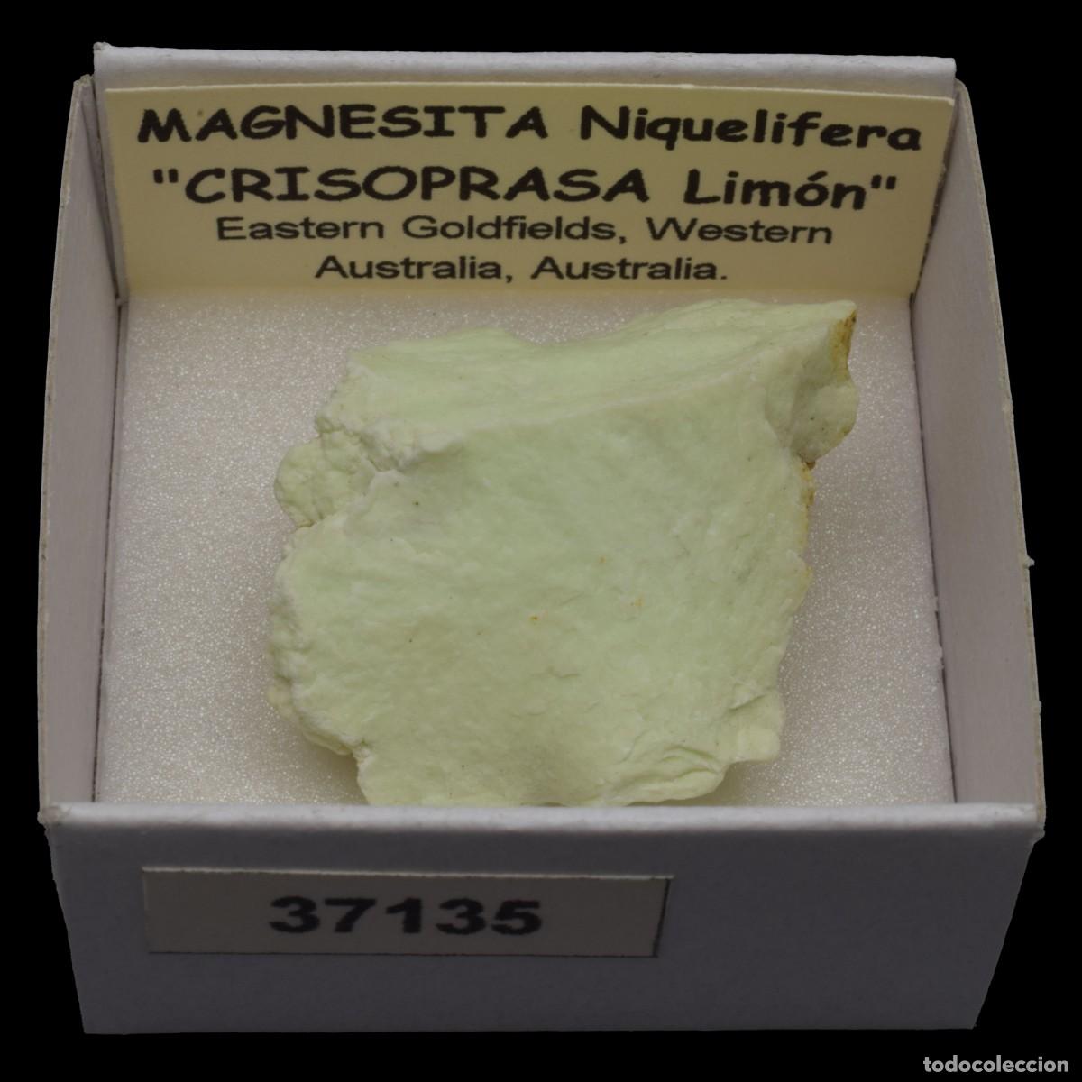 Collectionnisme de min&eacute;raux: MAGNESITA Niquelifera (Eastern Goldfields, Western Australia, Australia) #37135