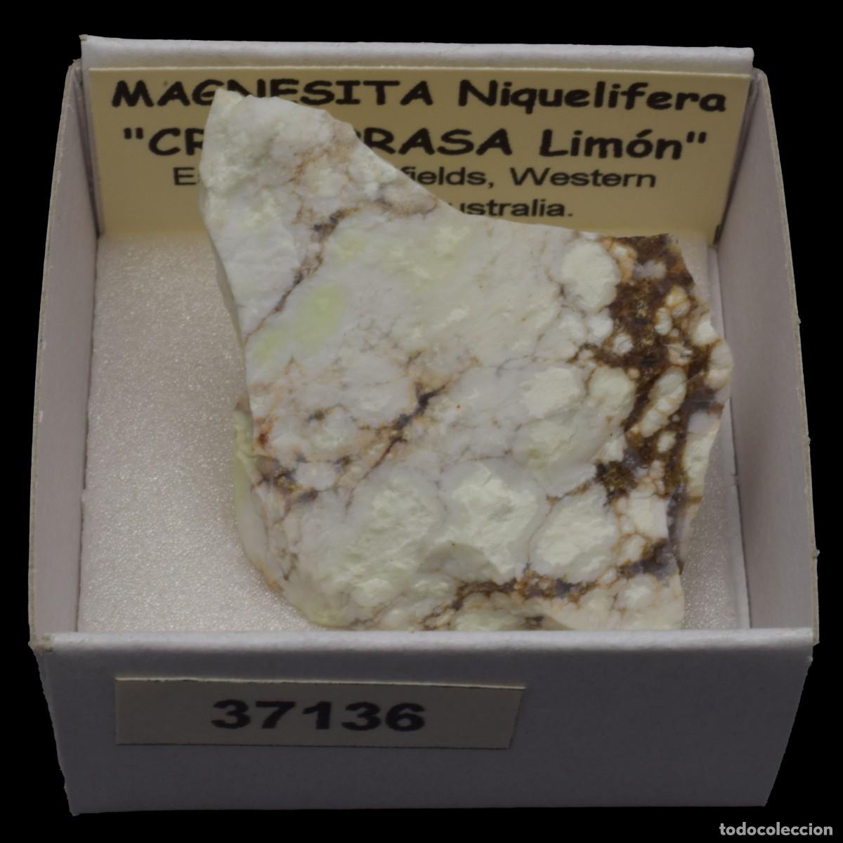 Collectionnisme de min&eacute;raux: MAGNESITA Niquelifera (Eastern Goldfields, Western Australia, Australia) #37136