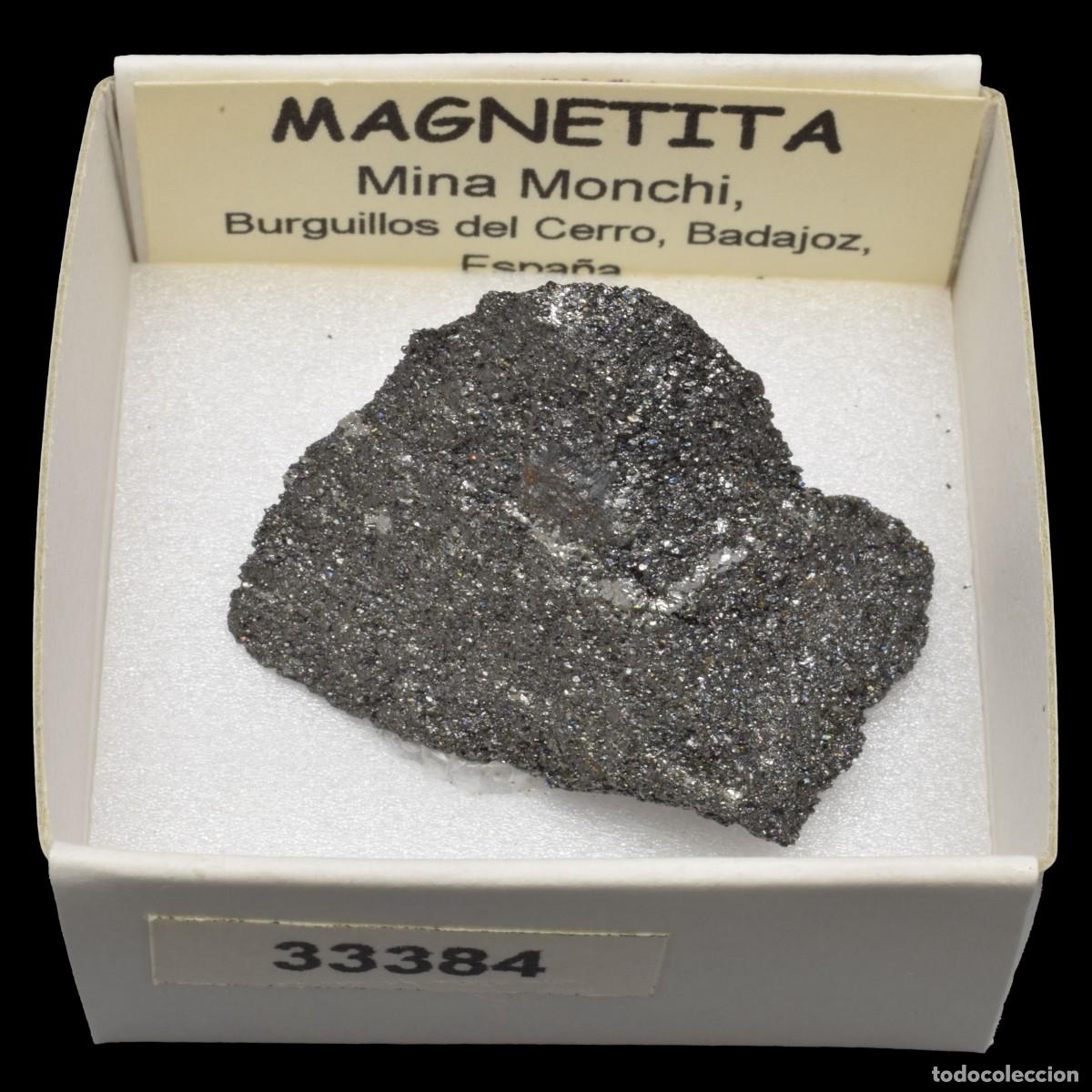 Collectionnisme de min&eacute;raux: MAGNETITA (Mina Monchi, Burguillos del Cerro, Badajoz, Espa&ntilde;a) #33384
