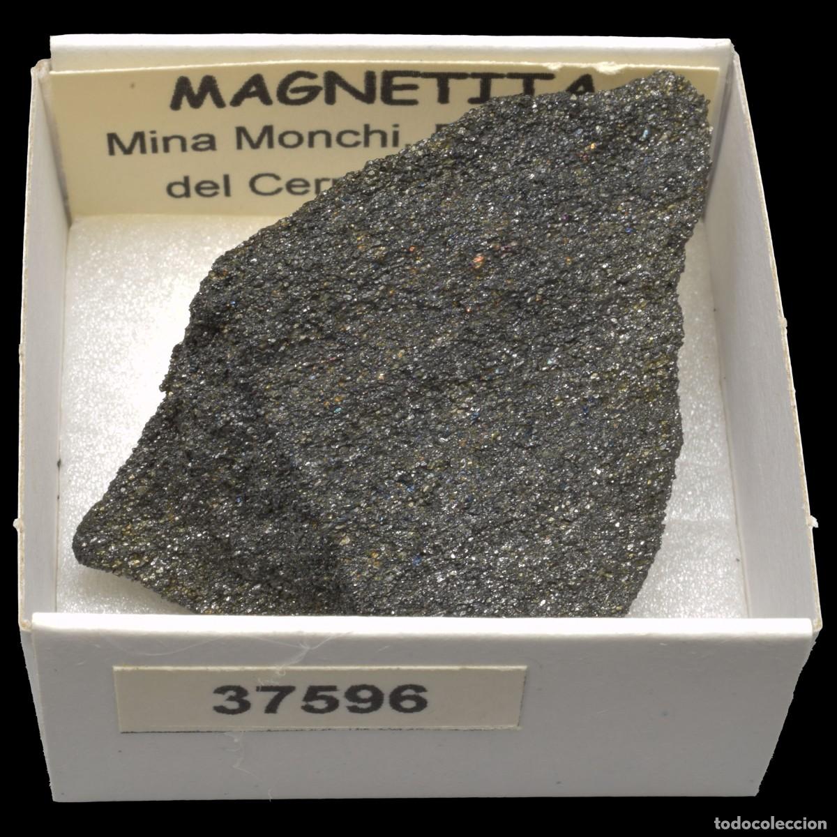 Collectionnisme de min&eacute;raux: MAGNETITA (Mina Monchi, Burguillos del Cerro, Badajoz, Espa&ntilde;a) #37596