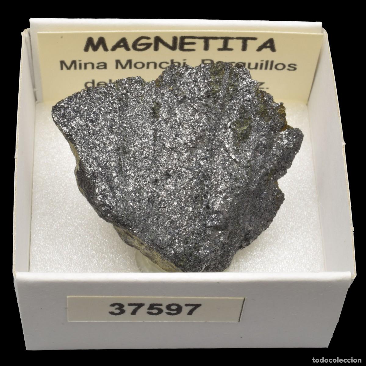 Collectionnisme de min&eacute;raux: MAGNETITA (Mina Monchi, Burguillos del Cerro, Badajoz, Espa&ntilde;a) #37597