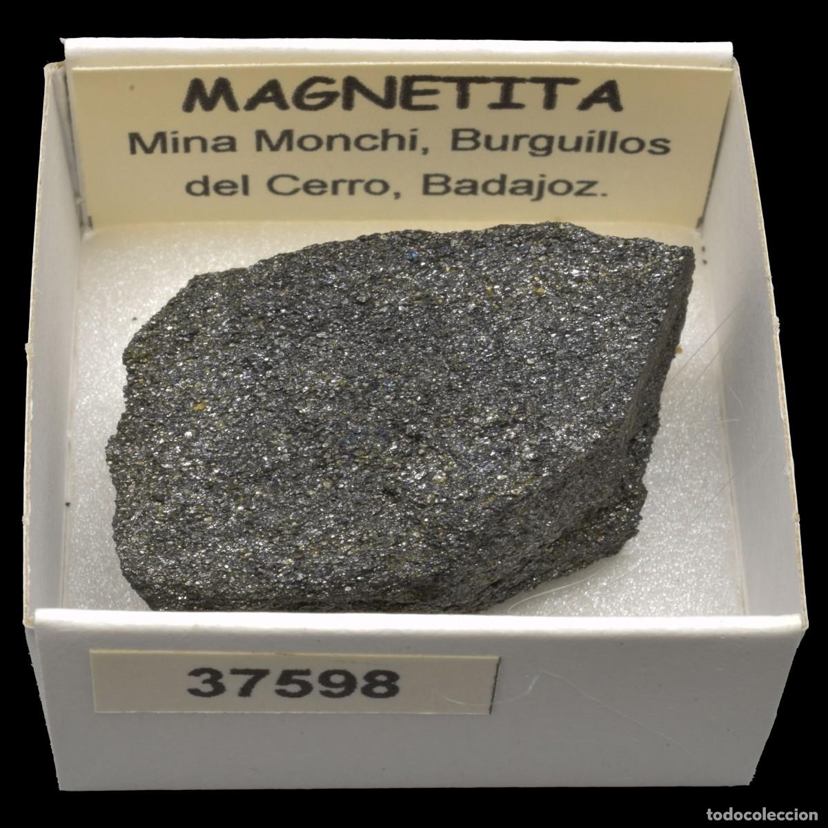 Coleccionismo de minerales: MAGNETITA (Mina Monchi, Burguillos del Cerro, Badajoz, Espa&ntilde;a) #37598