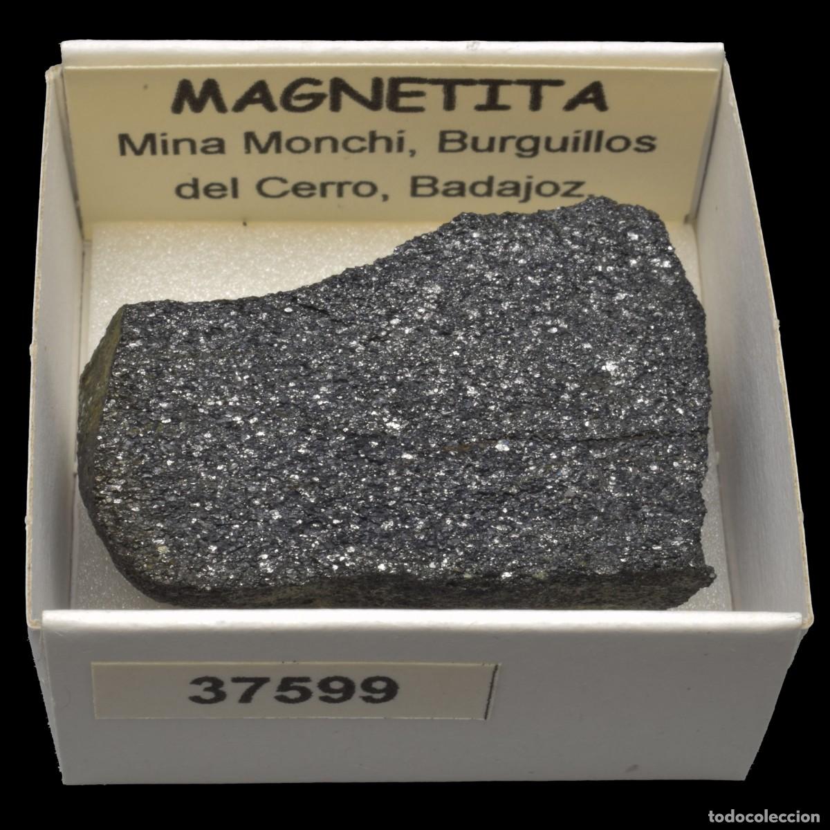 Coleccionismo de minerales: MAGNETITA (Mina Monchi, Burguillos del Cerro, Badajoz, Espa&ntilde;a) #37599