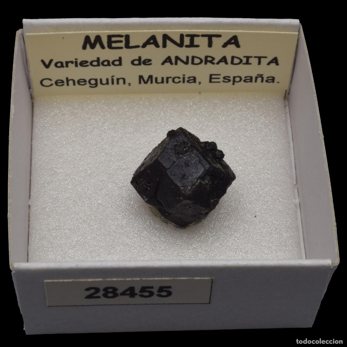 Coleccionismo de minerales: MELANITA (Ceheguin, Murcia, Espa&ntilde;a) #28455