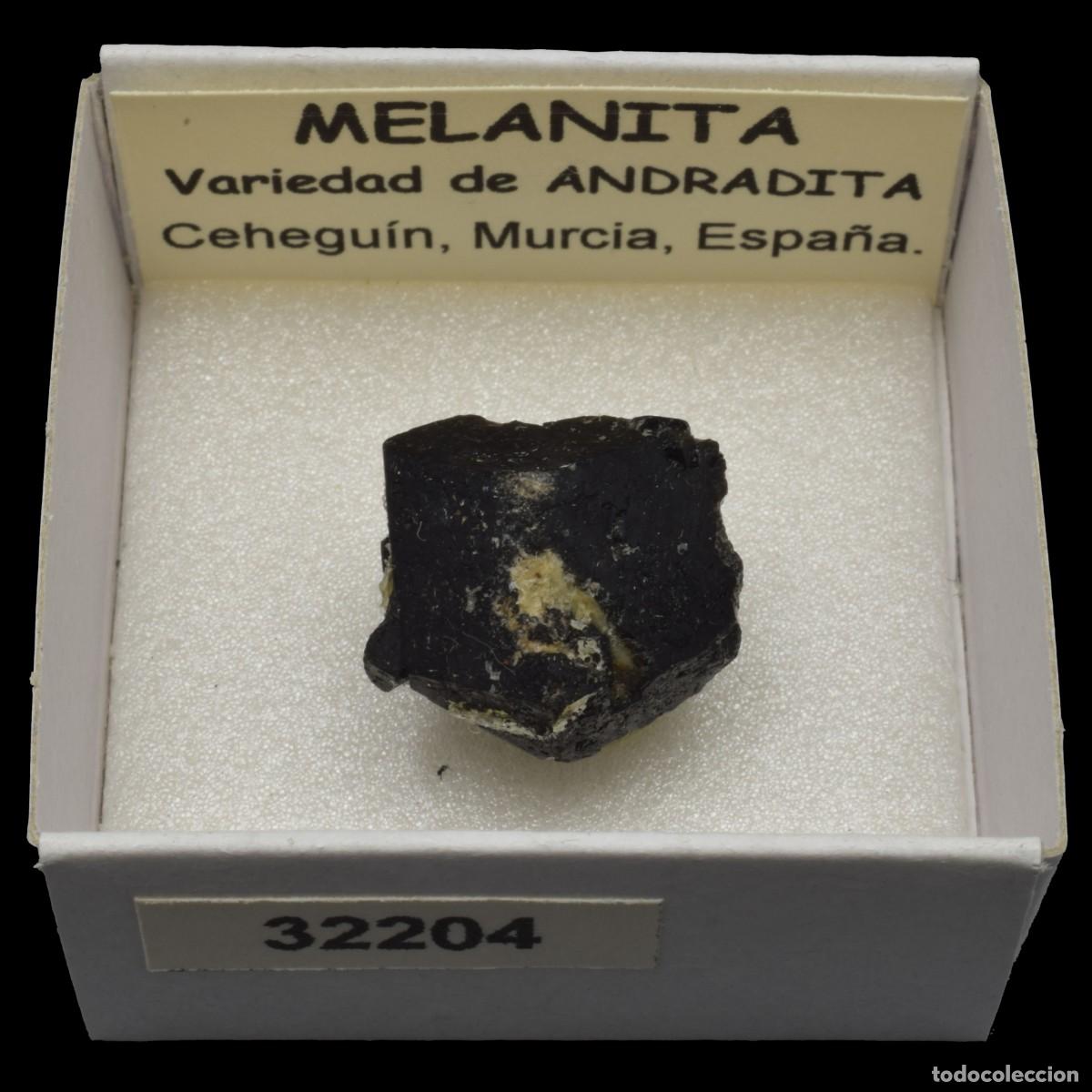 Coleccionismo de minerales: MELANITA (Ceheguin, Murcia, Espa&ntilde;a) #32204