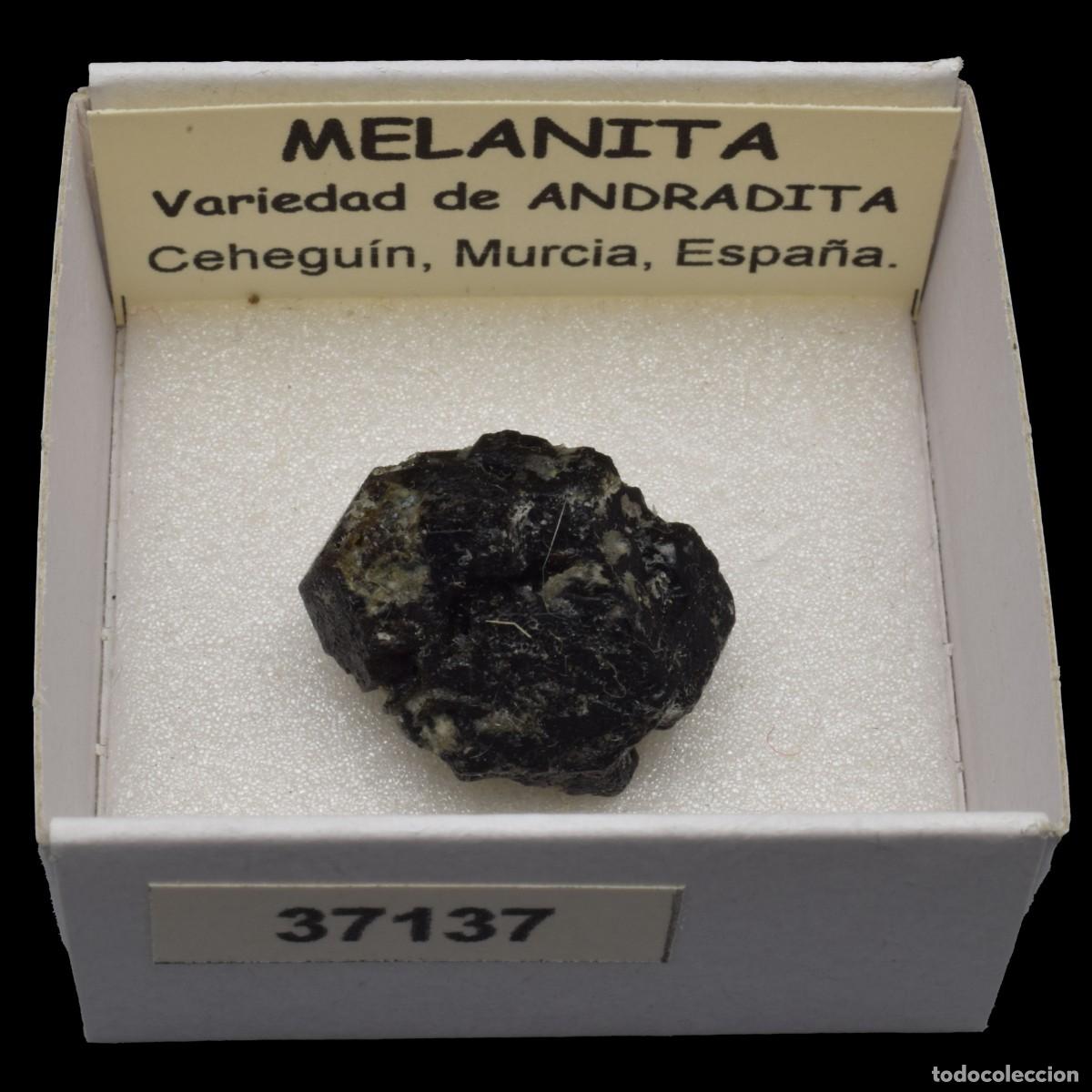 Coleccionismo de minerales: MELANITA (Ceheguin, Murcia, Espa&ntilde;a) #37137