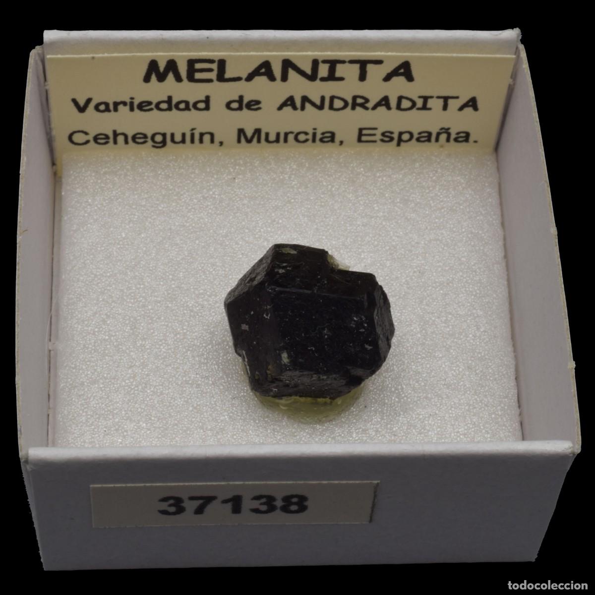 Coleccionismo de minerales: MELANITA (Ceheguin, Murcia, Espa&ntilde;a) #37138