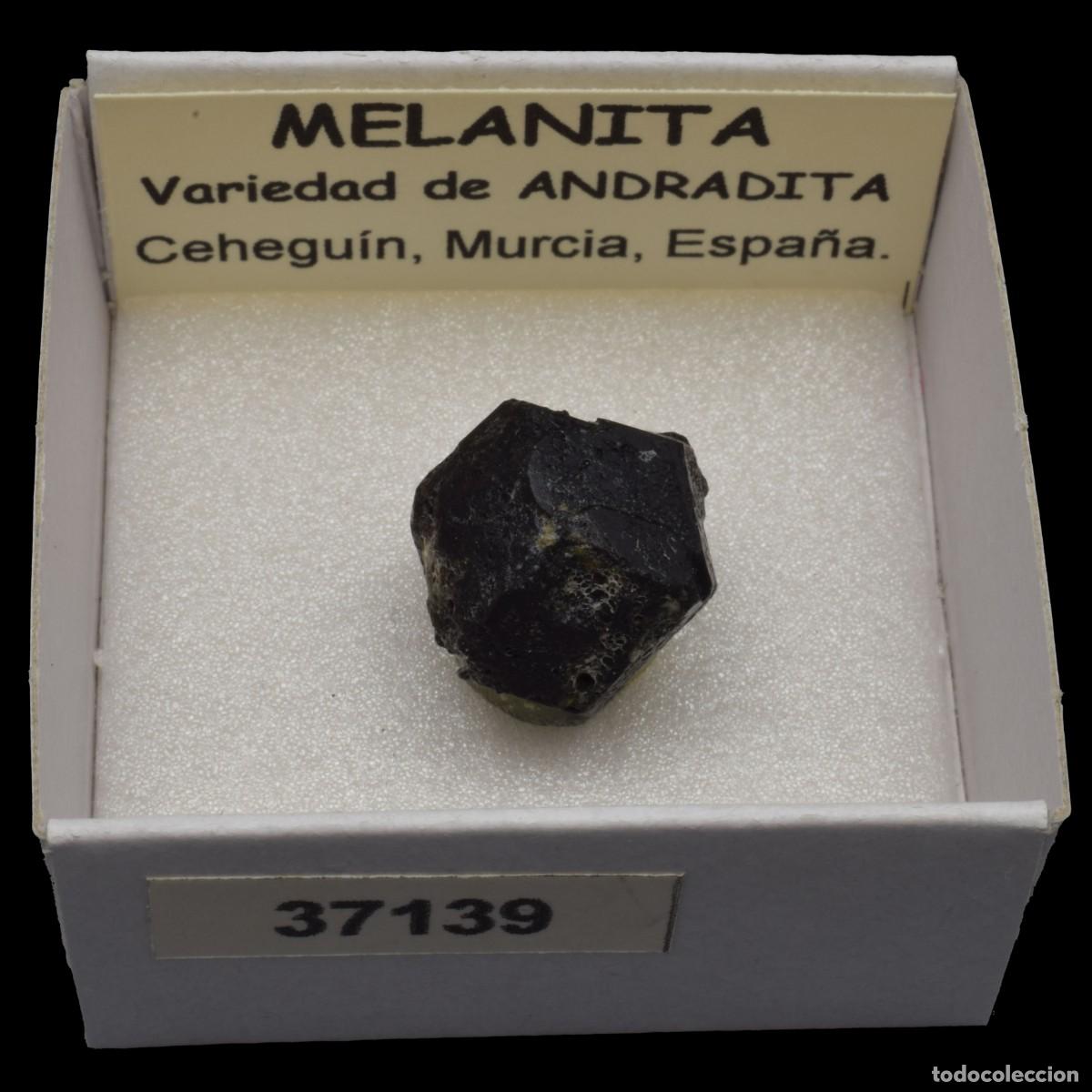 Coleccionismo de minerales: MELANITA (Ceheguin, Murcia, Espa&ntilde;a) #37139