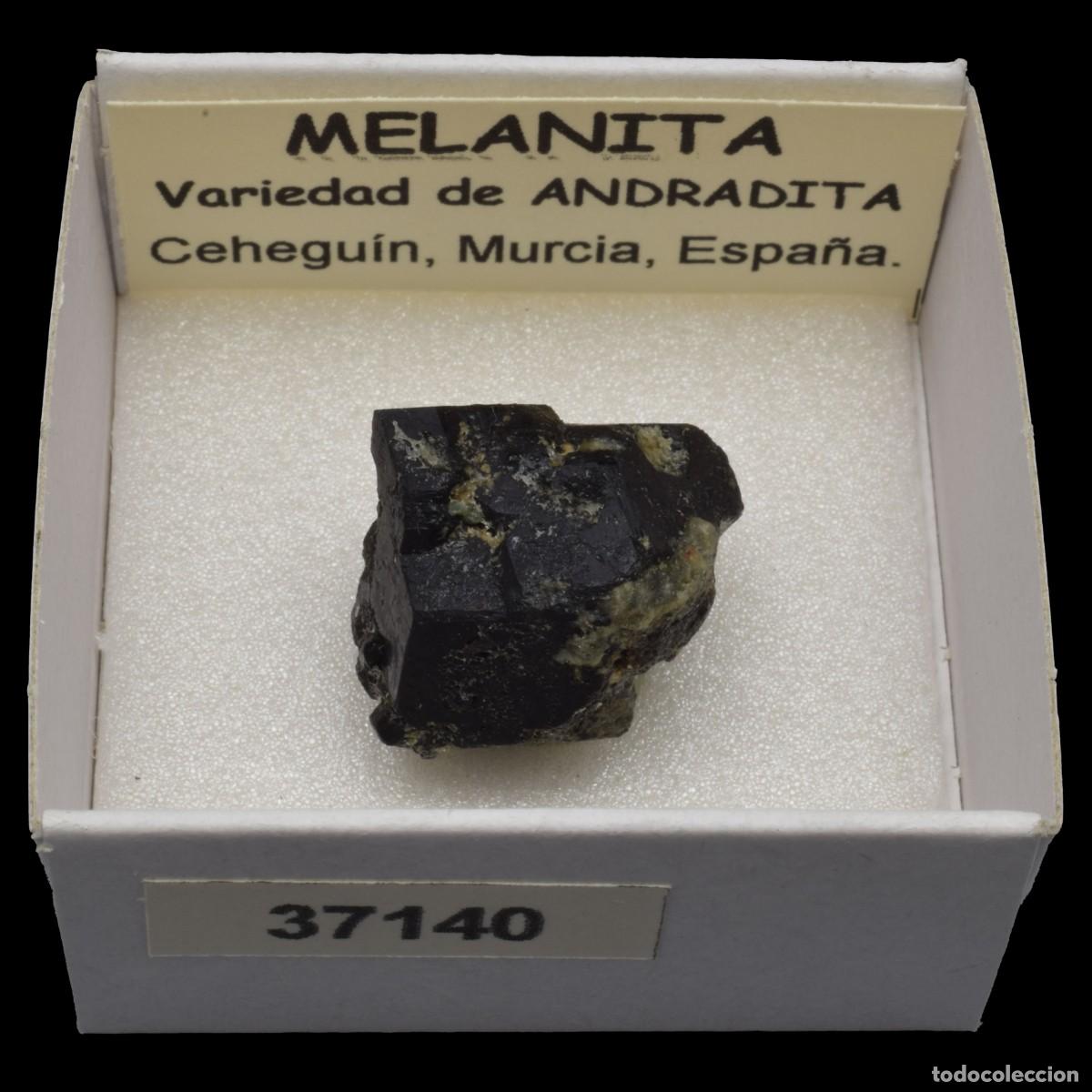 Coleccionismo de minerales: MELANITA (Ceheguin, Murcia, Espa&ntilde;a) #37140