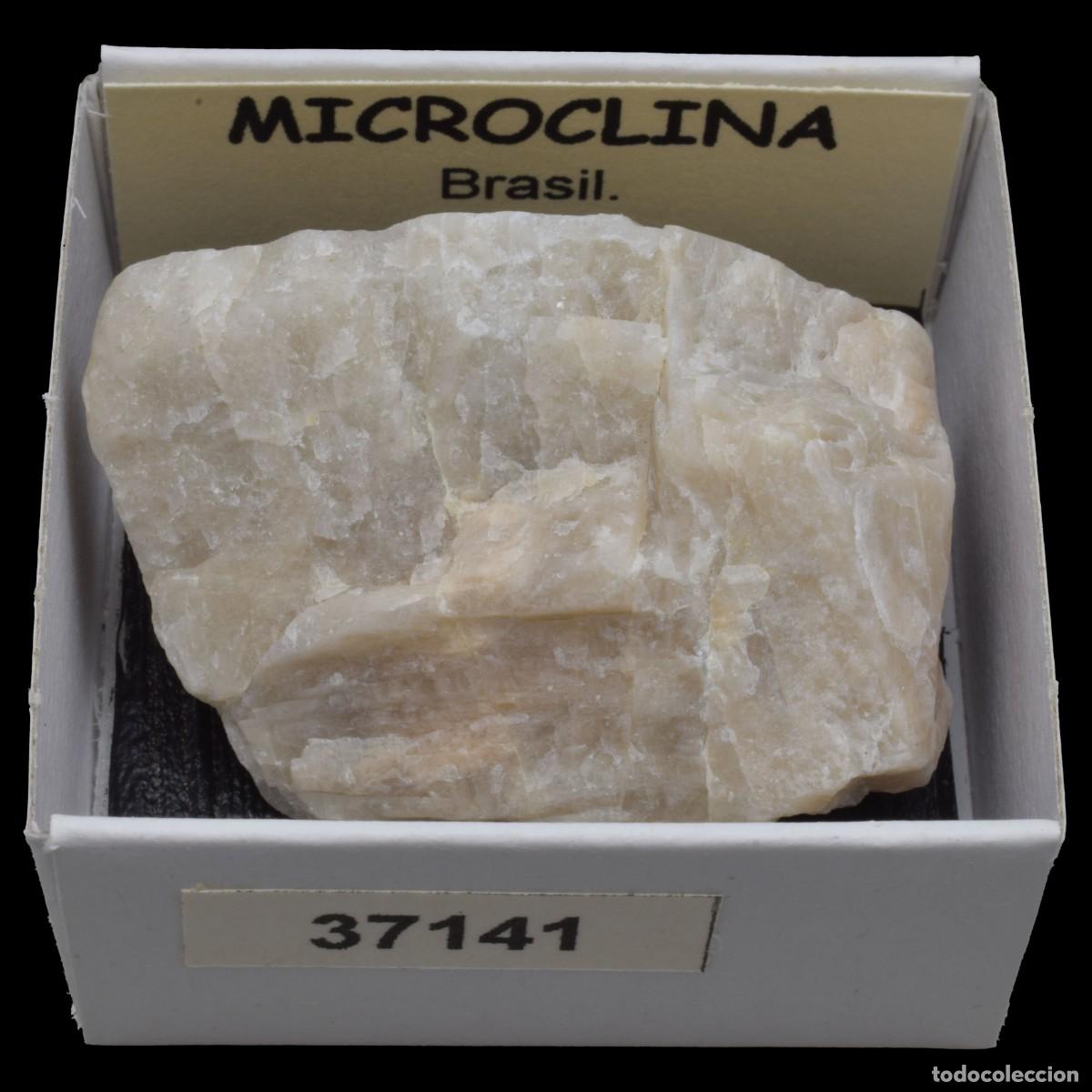 Coleccionismo de minerales: MICROCLINA (Brasil) #37141 - Foto 1