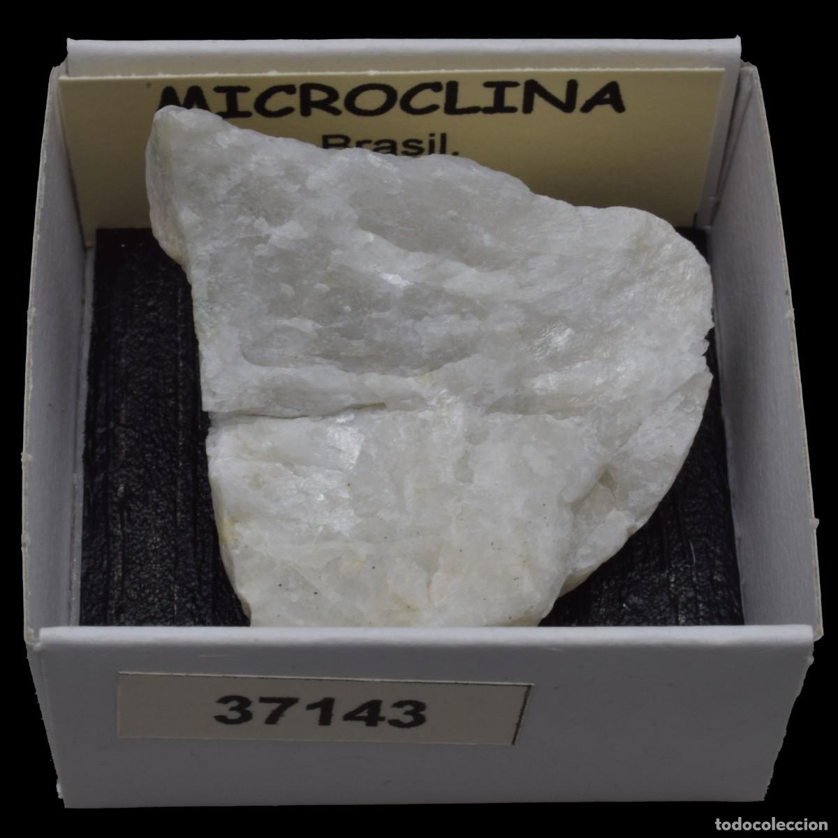 Coleccionismo de minerales: MICROCLINA (Brasil) #37143 - Foto 1