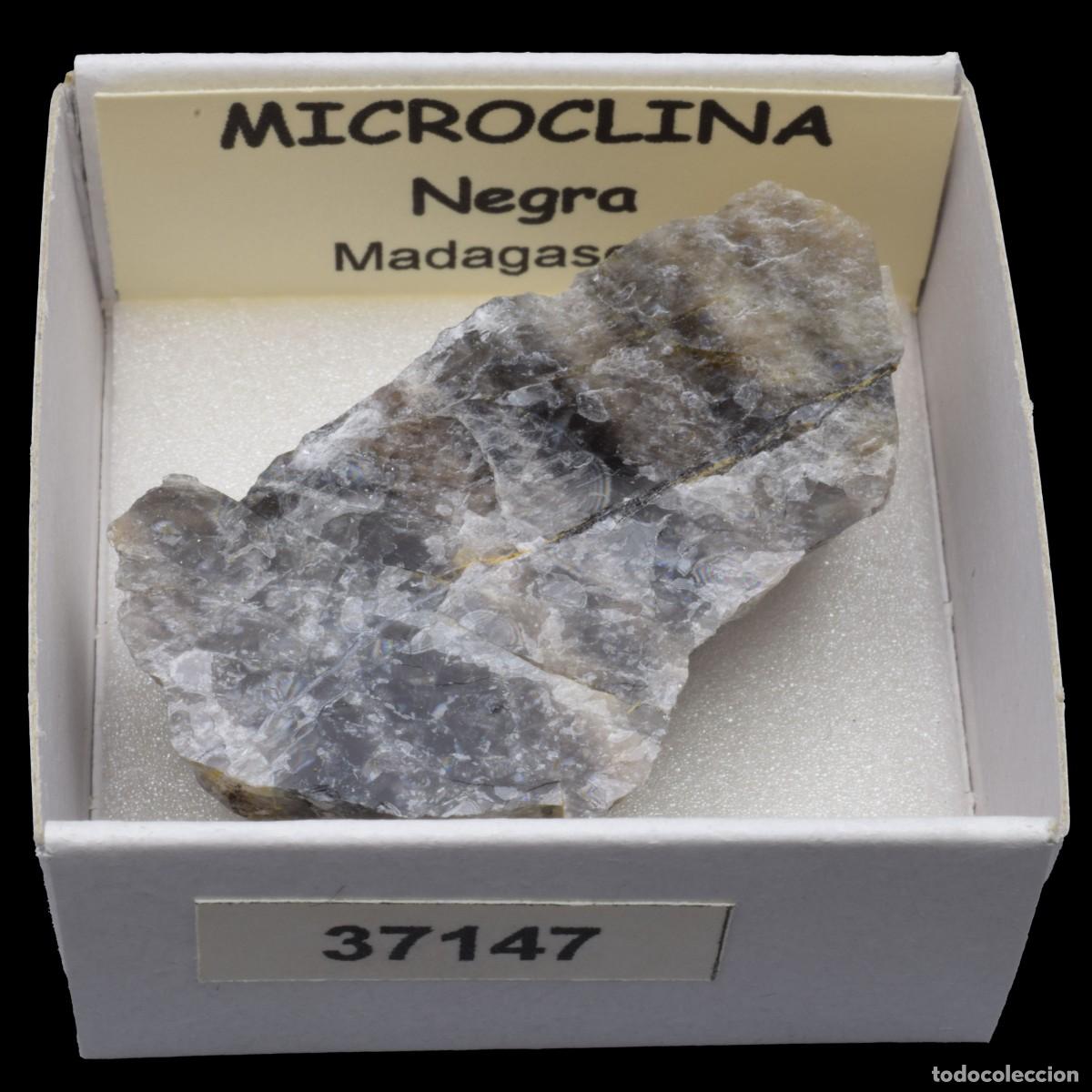 Coleccionismo de minerales: MICROCLINA Negra (Madagascar) #37147