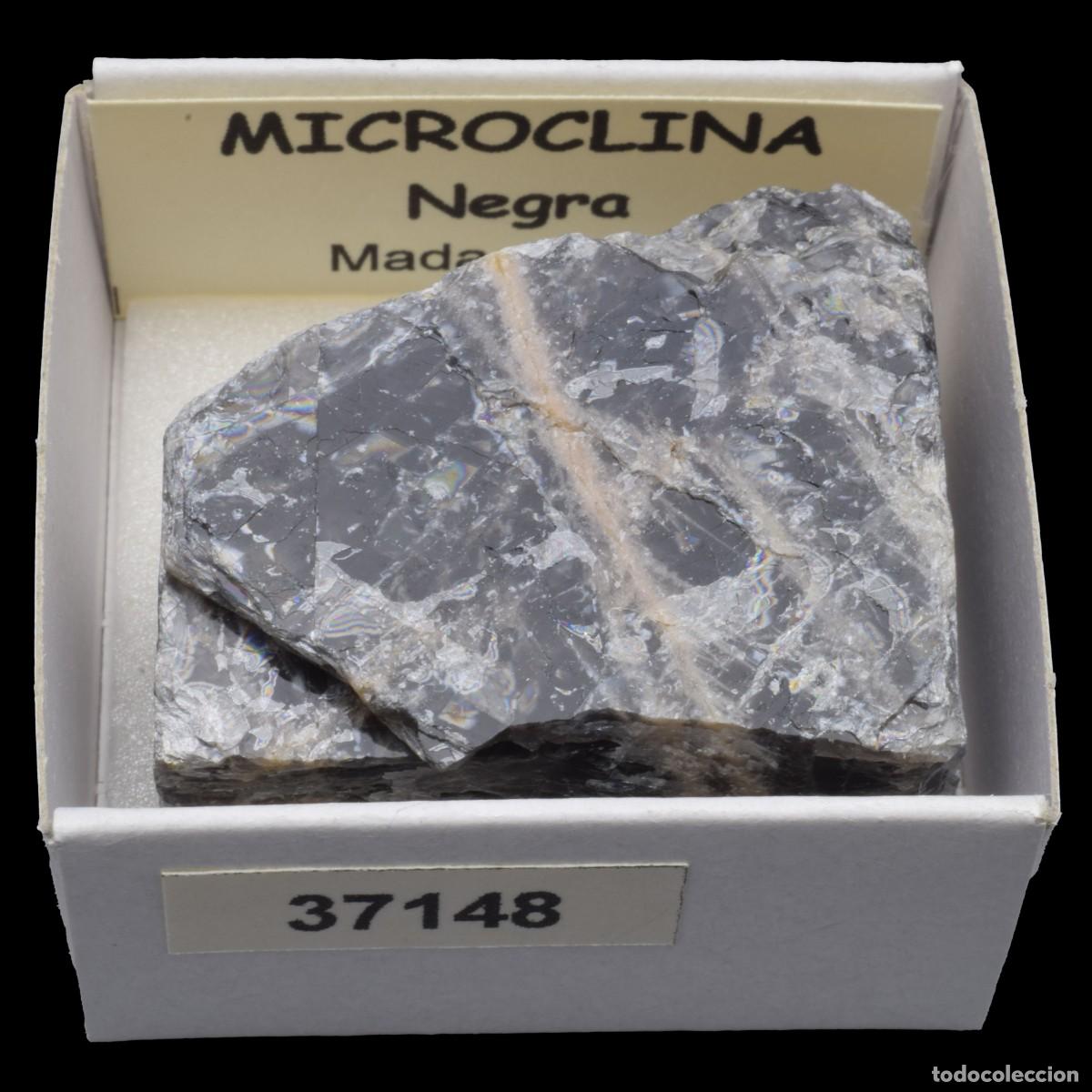 Coleccionismo de minerales: MICROCLINA Negra (Madagascar) #37148