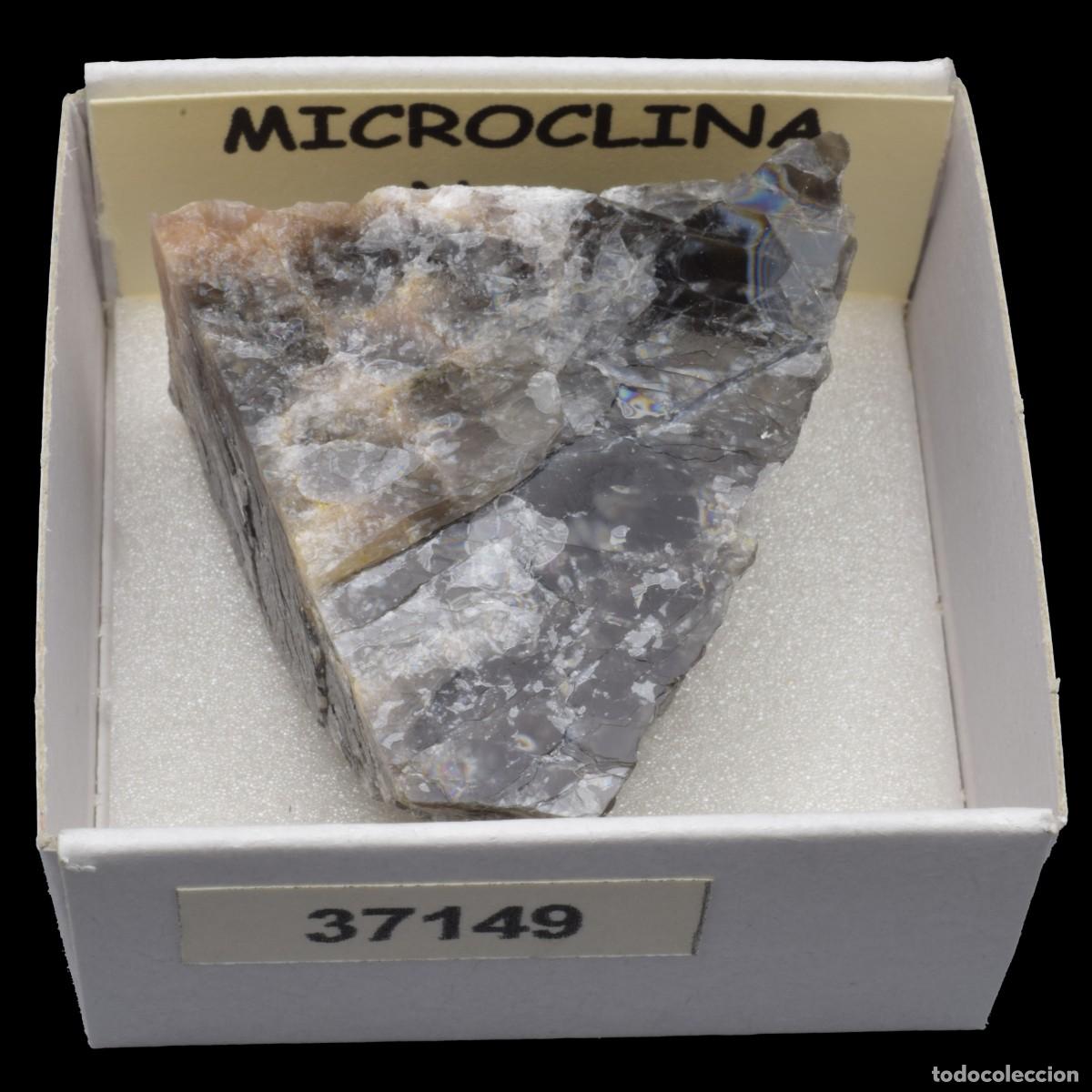 Coleccionismo de minerales: MICROCLINA Negra (Madagascar) #37149 - Foto 1