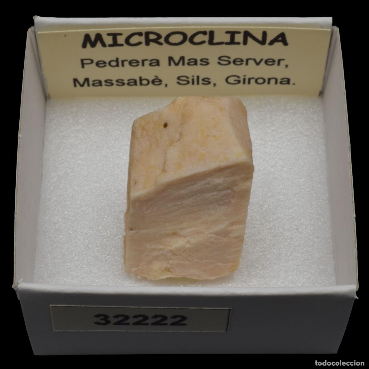 Coleccionismo de minerales: MICROCLINA xx (Pedrera Mas Server, Massabe, Sils, Girona, Espa&ntilde;a) #32222