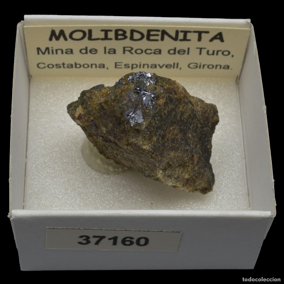 Coleccionismo de minerales: MOLIBDENITA (Mina de la Roca del Turo, Costabona, Girona, Espa&ntilde;a) #37160