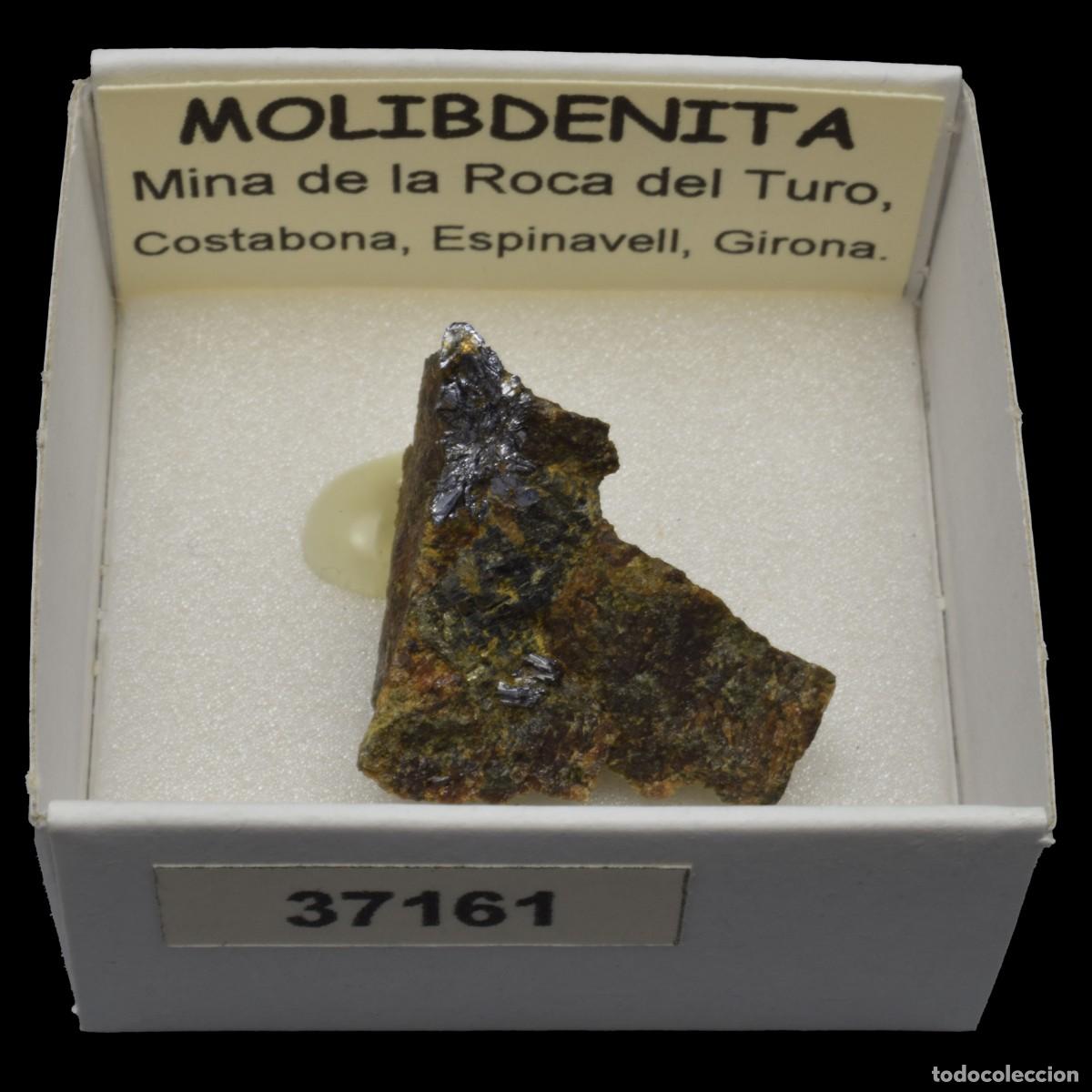 Coleccionismo de minerales: MOLIBDENITA (Mina de la Roca del Turo, Costabona, Girona, Espa&ntilde;a) #37161