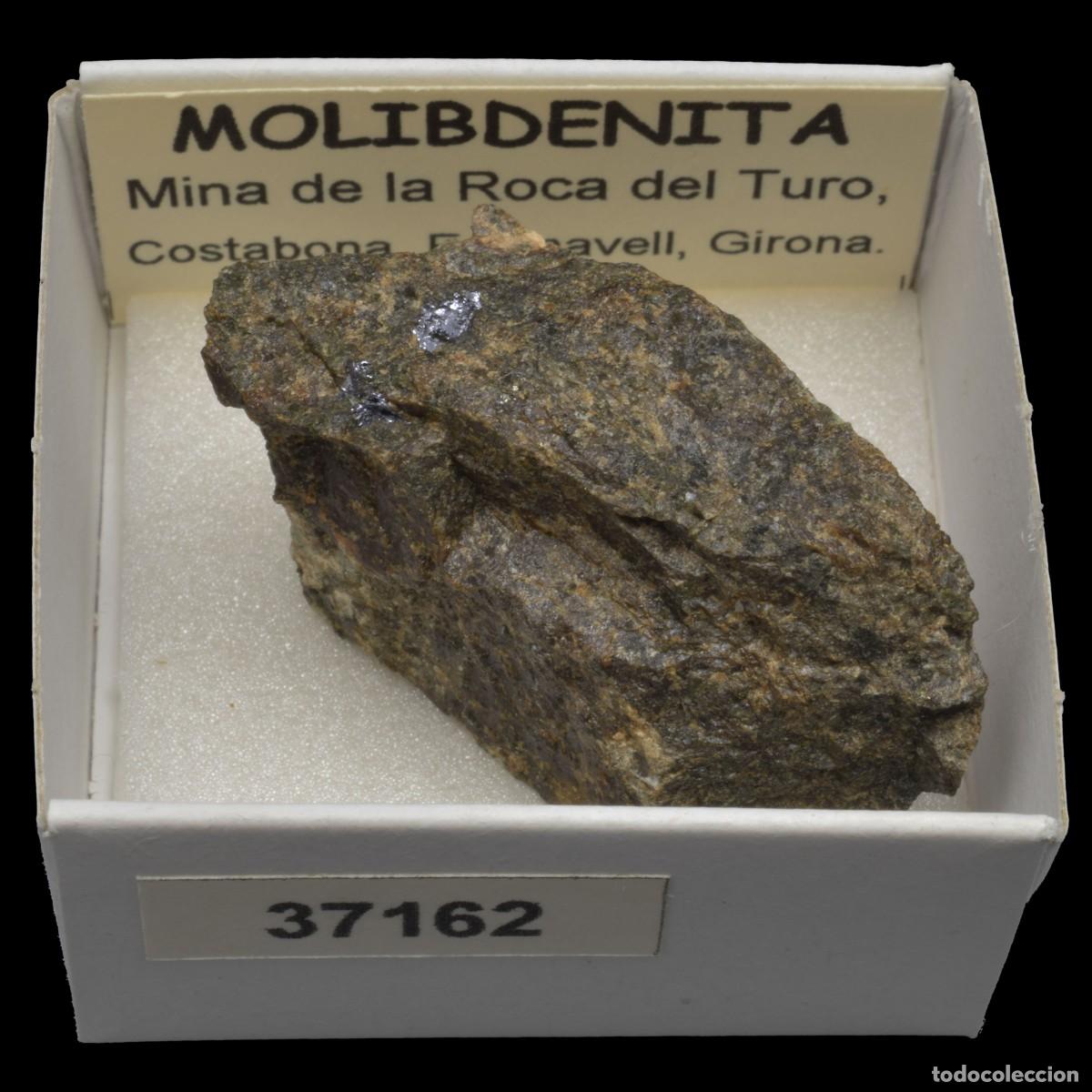 Coleccionismo de minerales: MOLIBDENITA (Mina de la Roca del Turo, Costabona, Girona, Espa&ntilde;a) #37162
